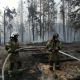 В Марий Эл активно горят 66,5 га леса лесные пожары 