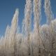 Зима в Новочебоксарске