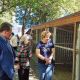 Решение о вступлении новочебоксарского зоопарка в СОЗАР примут на заседании в Ростове-на-Дону