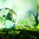 Россельхозбанк создает Фонд «Экология» для поддержки устойчивого развития АПК Россельхозбанк 