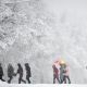 Московским школьникам разрешили не приходить в школу из-за снегопада снегопад 