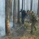 Ситуация с лесными пожарами в Чувашии на 16 августа  пожары 