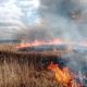 С начала весны в Чувашии зарегистрировали 65 природных пожаров