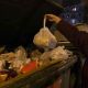 С 1 октября Чувашия перешла на новую систему обращения с ТКО мусор в городе 