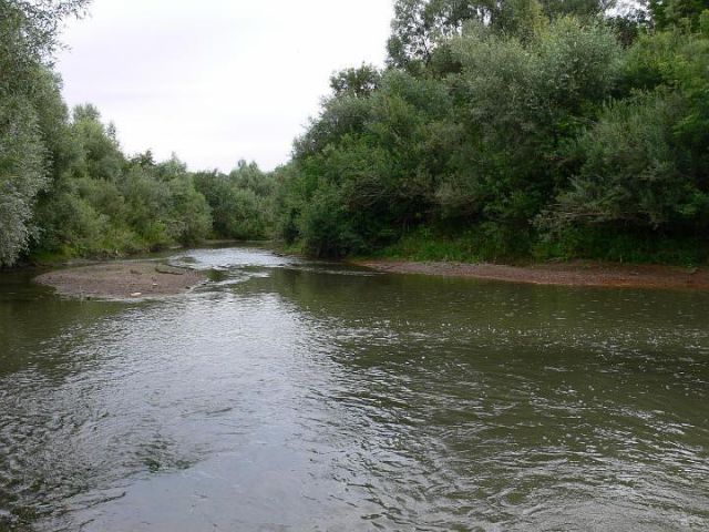 Заказник “Кукшумский”.